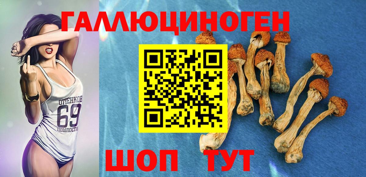 Псилоцибиновые грибы GOLDEN TEACHER  Галлюциногенные грибы Psilocybine cubensis  Вход с VPN  Ессентуки 