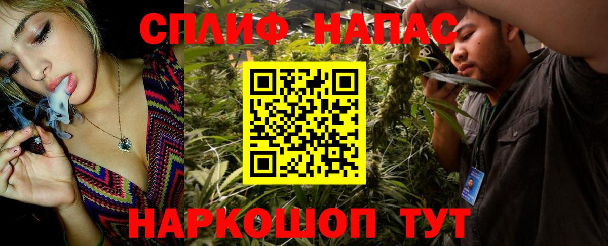 Конопля MAZAR  Вход с VPN  Бошки Шишки THC 21%  Ессентуки 